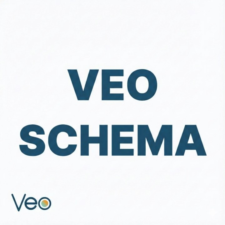 VEO Schema